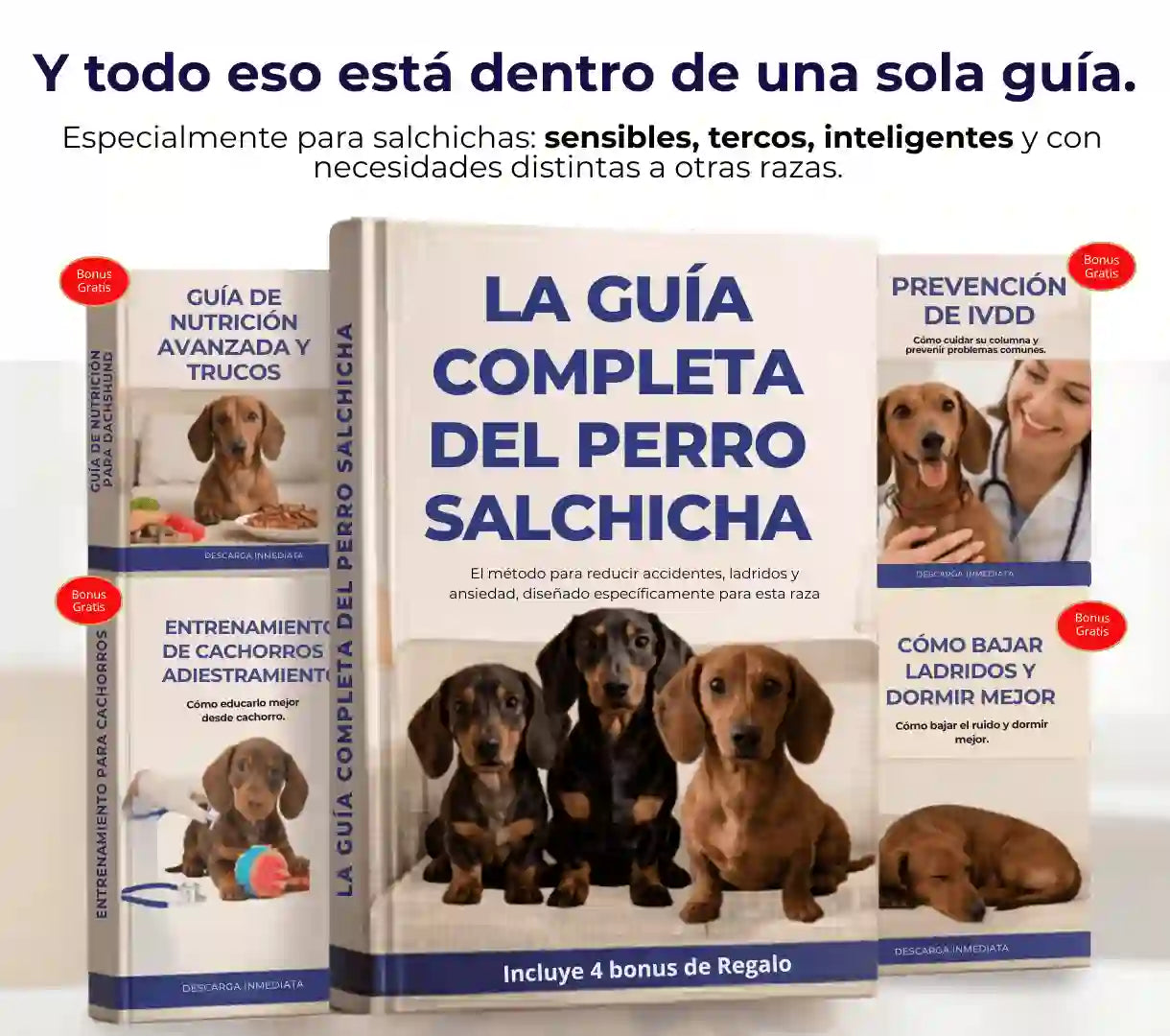 La Guía Completa del Perro Salchicha: El método para reducir accidentes, ladridos y ansiedad, diseñado específicamente para esta raza. + 6 Bonus de Regalo